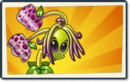 Boosted seed packet