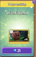 Olive Pit's seeds in the store (Promoted)