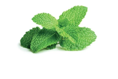 ペパーミントページ 259?cb=20190605185500