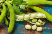 Bigstock-Healthy-Fresh-Legumes-New-Har-202959013-1024x683