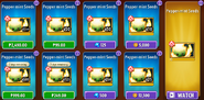 Pepper-mint's seeds in the store (Special, 11.9.1)