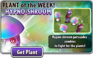 Hypno-shroom featured as Plant of the Week