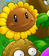 Sunflower on the loading screen