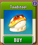 Toadstool in the new store