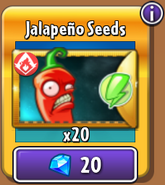 Jalapeno's seeds in the store