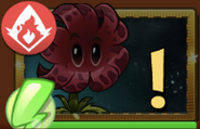 Meteor Flower when its ready to be unlock (via seed packet)
