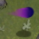 Shadow peas do 30 damage