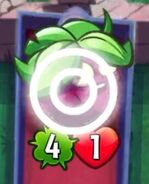 Wild Berry with a selection icon