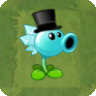 Snow Pea (large top hat)