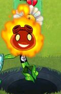 Solar Flare's pose when a zombie hero is hit over 4 damage or legendary plant is played