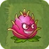 Dragonfruit2