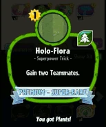 Holo-Flora's animated statistics