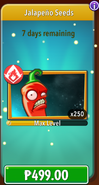 Jalapeno's seeds in the store (11.5.2, Promoted)