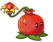 Pomegranate, who lobbed pomegranate seeds
