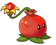 HD Pomegranate-pult