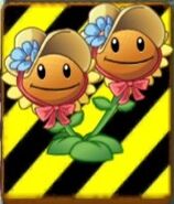 Twin Sunflower (Plants vs. Zombies 2), Plants vs. Zombies Wiki