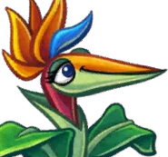 Bird of Paradise's card image