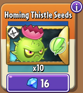 Homing Thistle's seed packets in the store (Special)