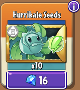 Hurrikale's seeds in the store (Special)