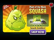 Squash featured as Plant of the Week