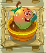 A boosted Mangofier in the Zen Garden