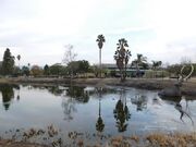 La brea tar pits los angeles california1