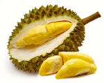 Durian(real)