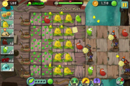 A glitch in earlier versions when the player uses Plant Food on a Chili Bean or Potato Mine, where if one lands on the mold, they will not disappear.