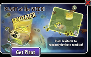 Levitater featured as Plant of the Week