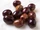 Olive Pit