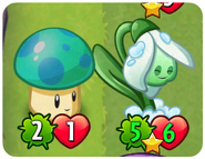 Grow-Shroom activating its ability on Snowdrop