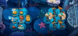 Shoal Encounter Day 4