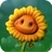 SunflowerGW2