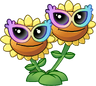 Twin Sunflower (rainbow shades)