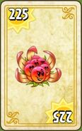 Endless Zone card