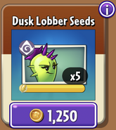 Dusk Lobber's seeds in the store (10.2.1)