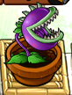 A medium-sized Chomper in Zen Garden