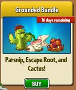 Escape Root in the Grounded Bundle along with Cactus and Parsnip