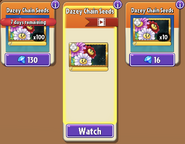 Dazey Chain's seeds in the store (Special, 9.6.1)