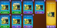 Solar Sage's seeds in the store (11.0.1, Special)