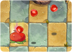 Plants Vs Zombies 2 Online ⇒ Pomegranate, Bruce Bamboo and Carrot