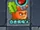 Carrot Rocket Launch