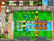 LSE MS 10.jpg (406 KB) Moon Snail flag ten