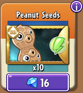 Pea-nut's seeds in the store (Special)