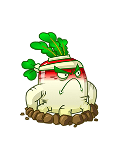 Rabano Blanco Wiki Plants Vs Zombies Fandom