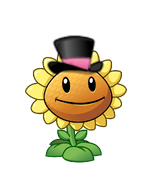 Girasol con sombrero