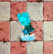 Frozen Bust Head Zombie