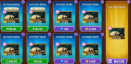 Levitater's seeds in the store (12.0.1, Special, After)