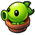 Peashooter sprout 3