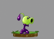 Watering animation of Goo Peashooter